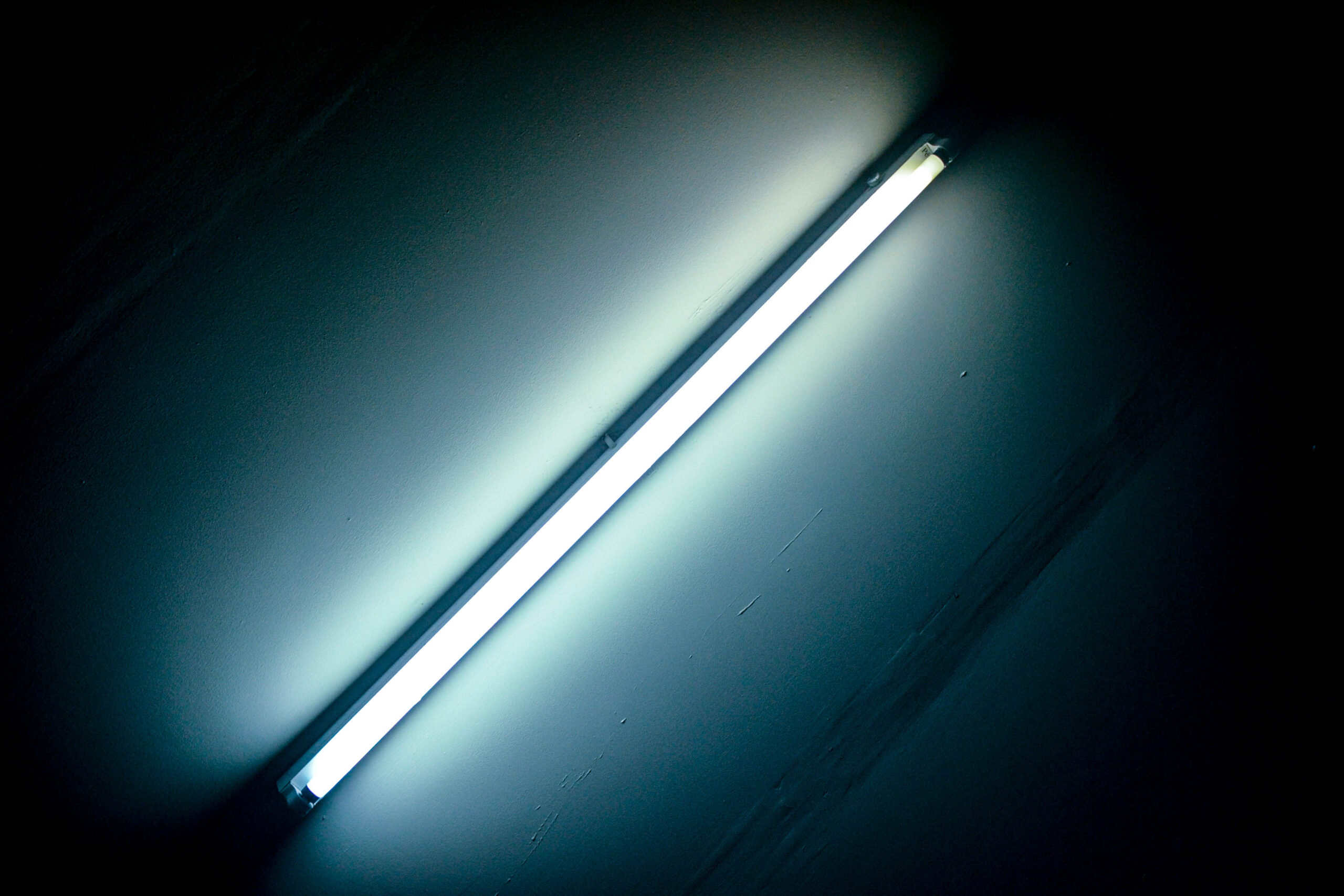 A,Lightbuld,In,The,Dark