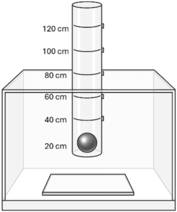 The image shows a schematic example of the test setup and does not represent the actual maximum height.